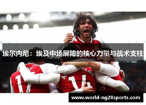埃尔内尼：埃及中场屏障的核心力量与战术支柱