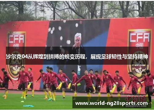 沙尔克04从辉煌到拼搏的蜕变历程，展现足球韧性与坚持精神