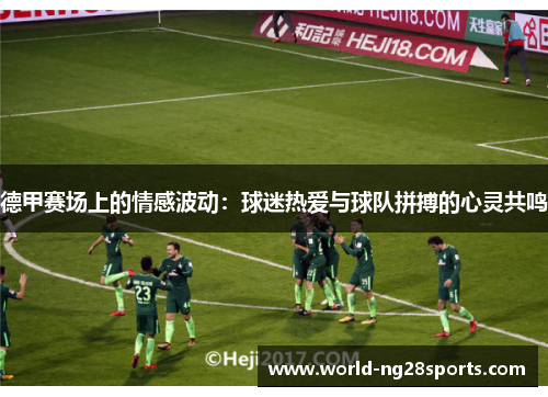 德甲赛场上的情感波动：球迷热爱与球队拼搏的心灵共鸣