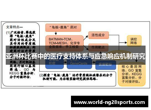 亚洲杯比赛中的医疗支持体系与应急响应机制研究 亚洲杯比赛中的医疗支持体系与应急响应机制研究