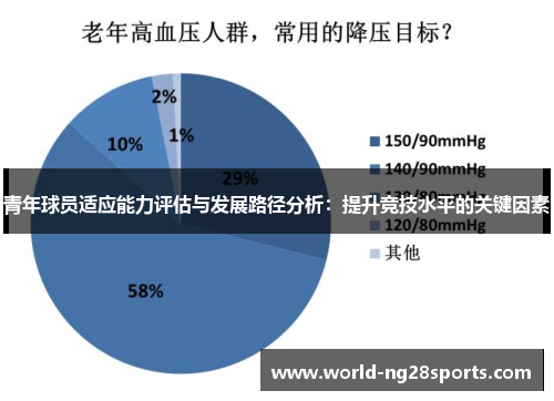 青年球员适应能力评估与发展路径分析：提升竞技水平的关键因素