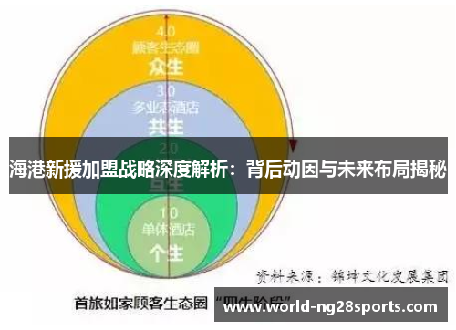 海港新援加盟战略深度解析：背后动因与未来布局揭秘