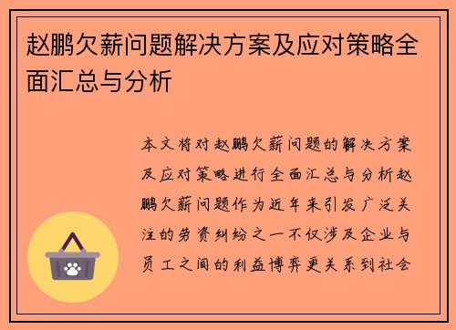 赵鹏欠薪问题解决方案及应对策略全面汇总与分析
