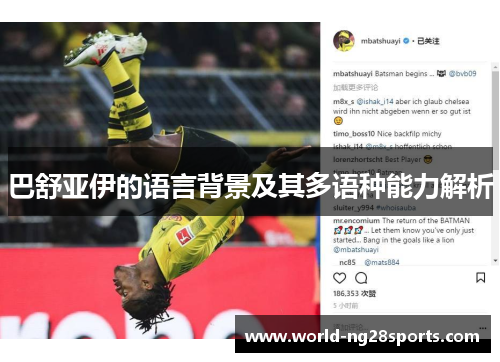 巴舒亚伊的语言背景及其多语种能力解析 巴舒亚伊的语言背景及其多语种能力解析