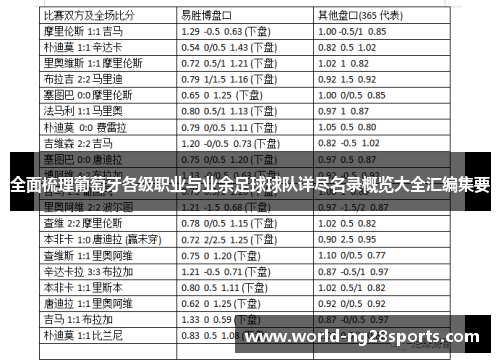 全面梳理葡萄牙各级职业与业余足球球队详尽名录概览大全汇编集要