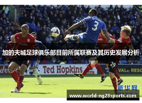 加的夫城足球俱乐部目前所属联赛及其历史发展分析