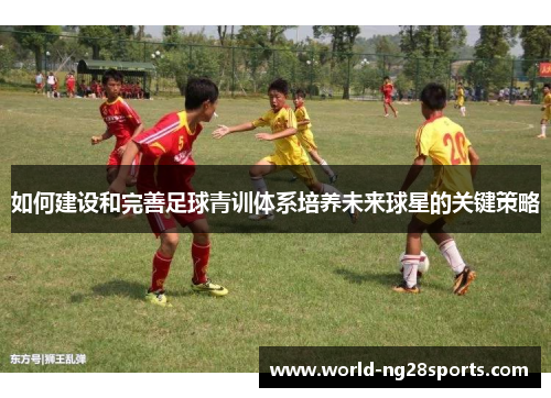 如何建设和完善足球青训体系培养未来球星的关键策略