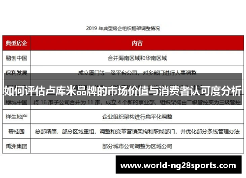 如何评估卢库米品牌的市场价值与消费者认可度分析