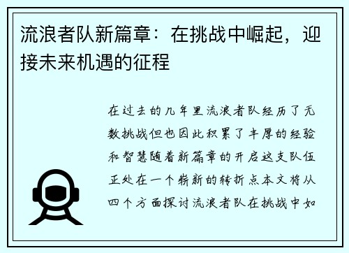 流浪者队新篇章：在挑战中崛起，迎接未来机遇的征程